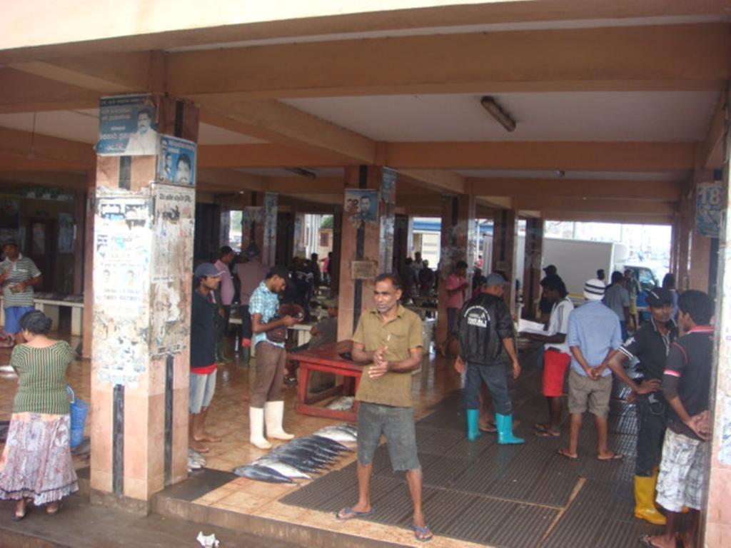 Randi Homestay In Negombo Exteriör bild