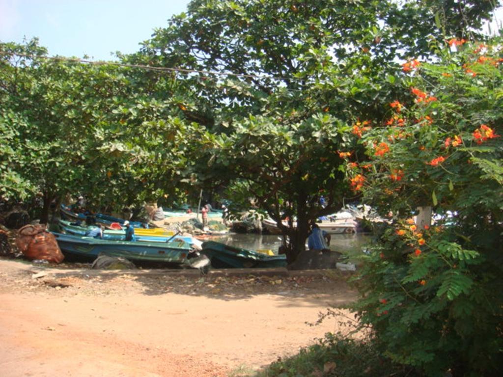 Randi Homestay In Negombo Exteriör bild