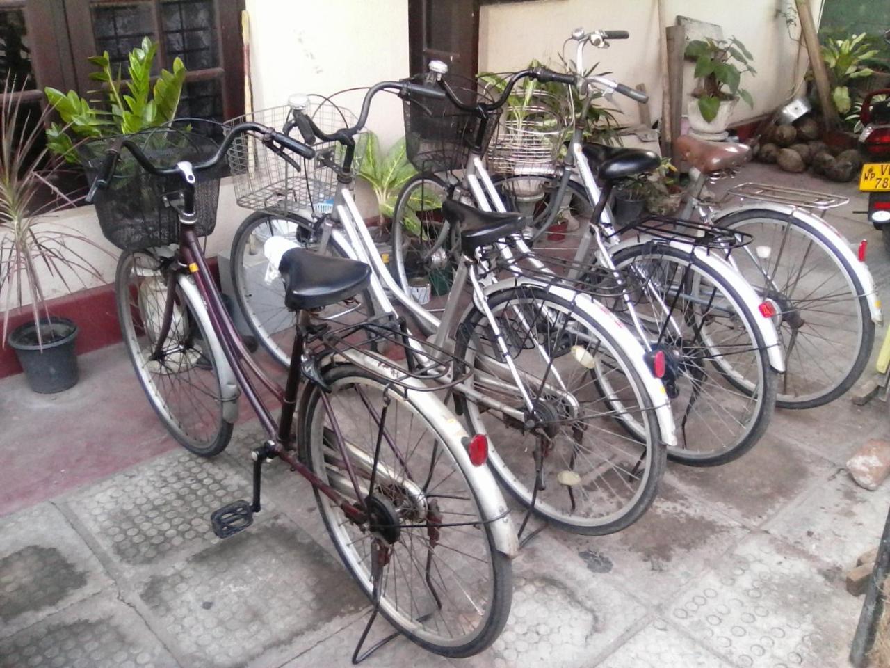 Randi Homestay In Negombo Exteriör bild